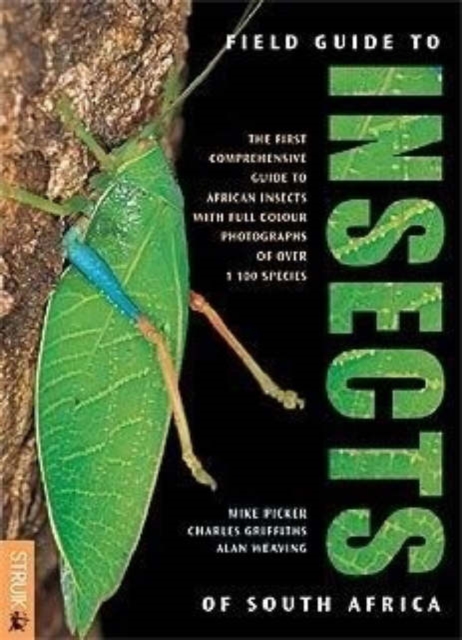 Field guide to insects of South Africa, Paperback / softback Book