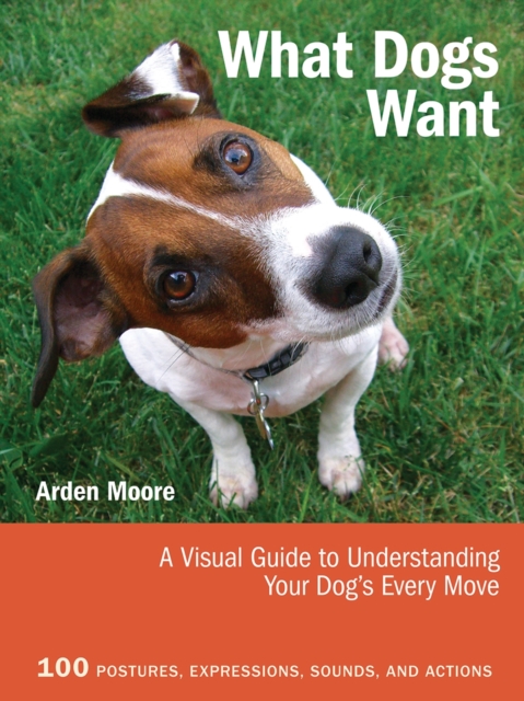 What Dogs Want : A Visual Guide to Understanding Your Dog's Every Move, Paperback / softback Book