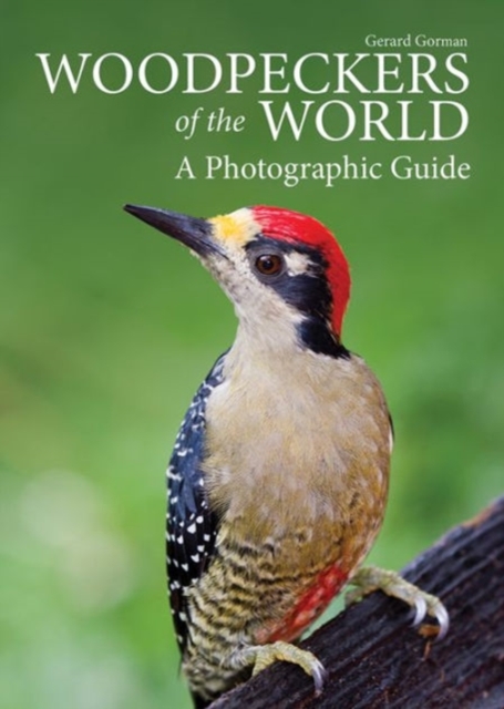 Woodpeckers of the World : A Photographic Guide, Hardback Book