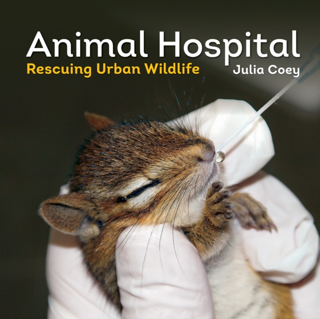 animal hospital : rescuing urban wildlife