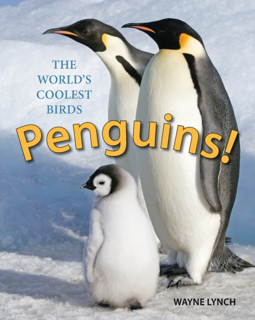 Penguins! The World's Coolest Birds, Paperback / softback Book