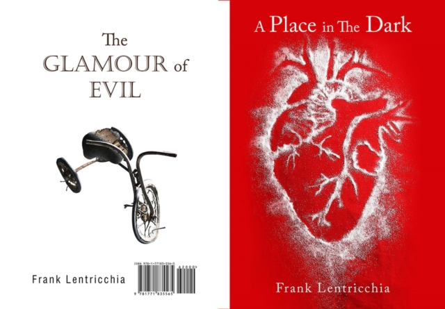 A Place in the Dark/ The Glamour of Evil, Paperback / softback Book