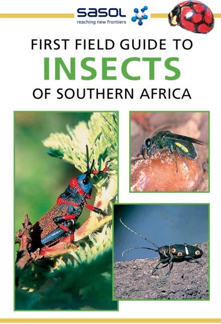 Sasol First Field Guide to Insects of Southern Africa, PDF eBook
