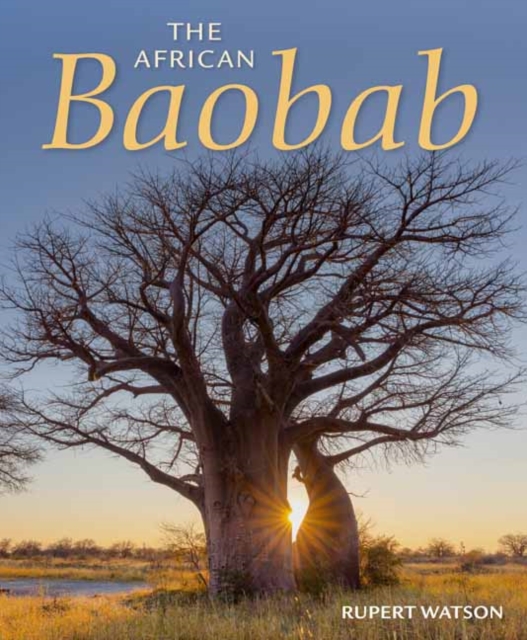 The African Baobab, Paperback / softback Book