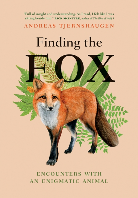 Finding the Fox : Encounters With an Enigmatic Animal, Hardback Book