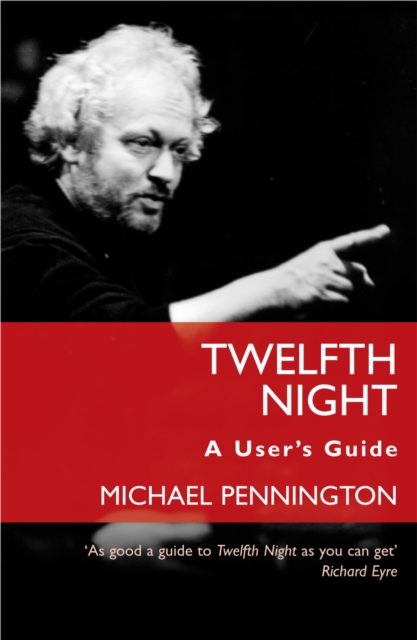 Twelfth Night: A User's Guide, EPUB eBook