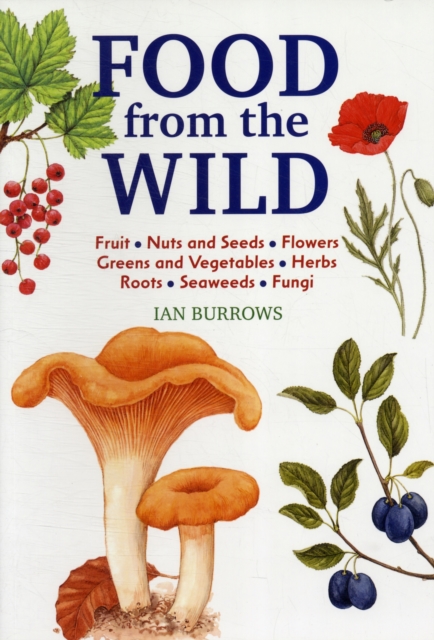 Food From The Wild, Paperback / softback Book