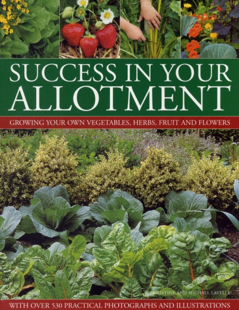 Success in Your Allotment, Paperback / softback Book
