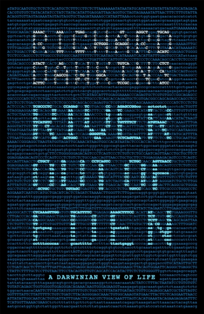 River Out of Eden : A Darwinian View of Life, Paperback / softback Book