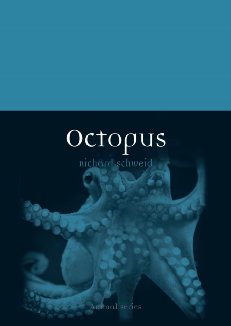 Octopus, Paperback / softback Book