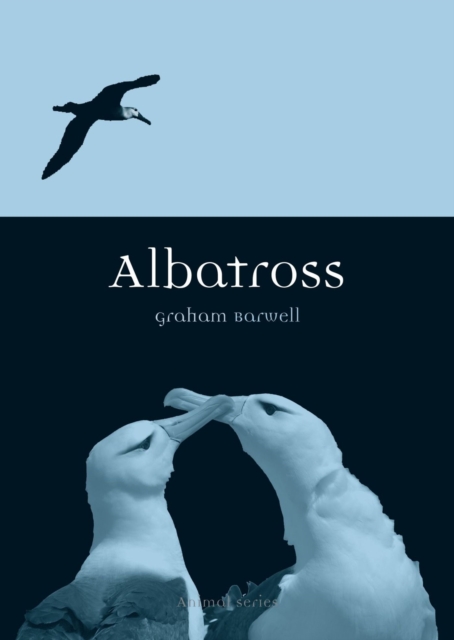 Albatross, Paperback / softback Book