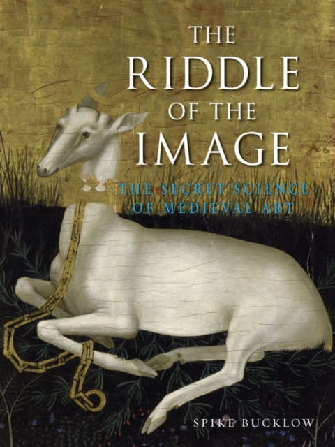 The Riddle of the Image : The Secret Science of Medieval Art, Hardback Book