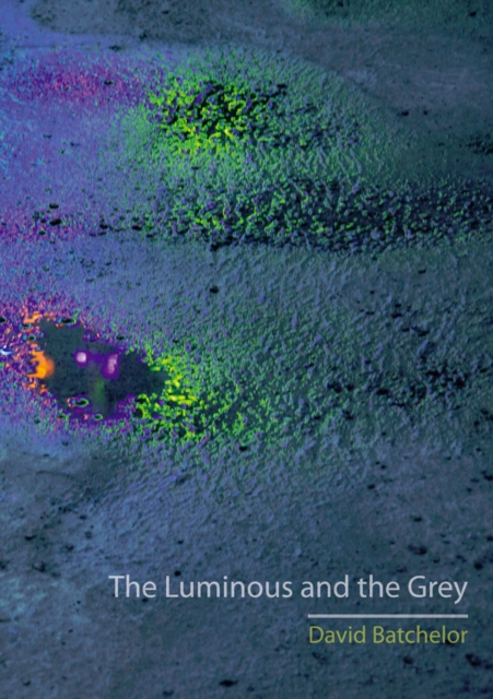 The Luminous and the Grey, EPUB eBook