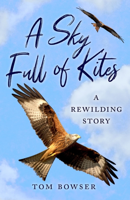 A Sky Full of Kites : A Rewilding Story, Paperback / softback Book