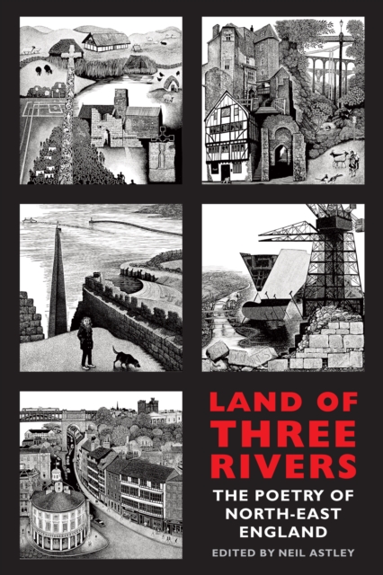 Land of Three Rivers : The Poetry of North-East England, EPUB eBook