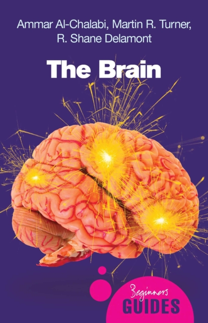 The Brain : A Beginner's Guide, EPUB eBook