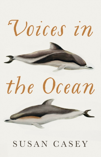 Voices in the Ocean : A Journey into the Wild and Haunting World of Dolphins, Hardback Book
