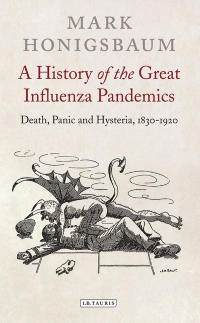 A History of the Great Influenza Pandemics : Death, Panic and Hysteria, 1830-1920, Hardback Book
