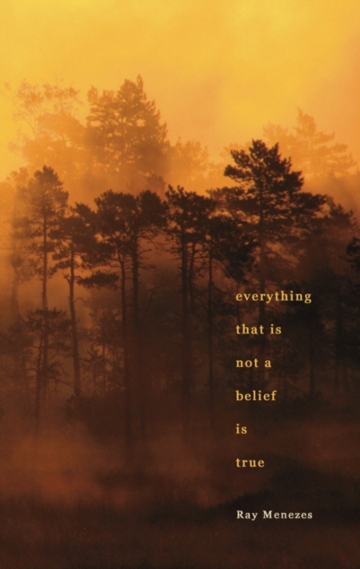 Everything That is Not a Belief is True, Paperback / softback Book