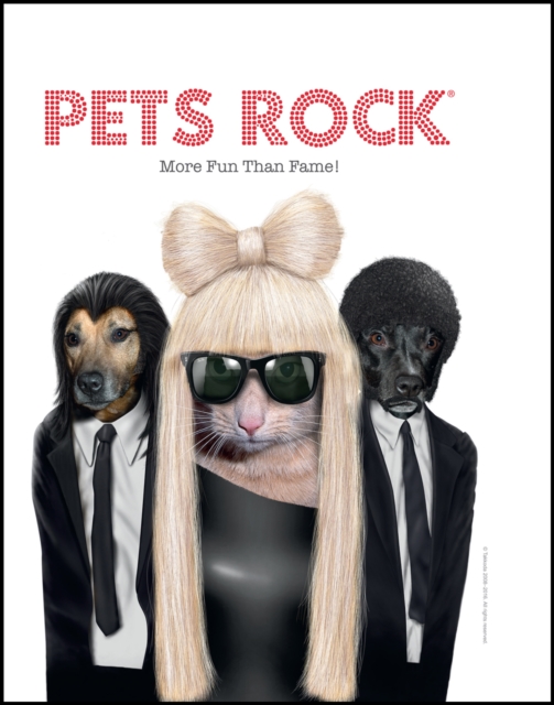 Pets Rock : More Fun Than Fame!, Hardback Book