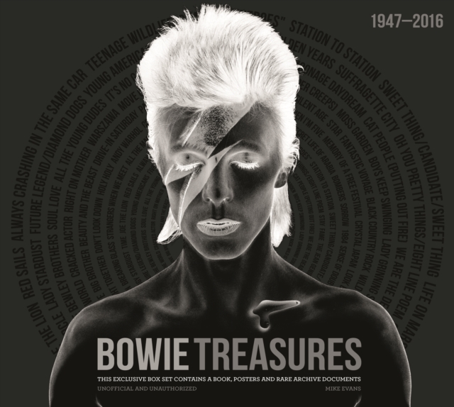 Bowie Treasures, Hardback Book