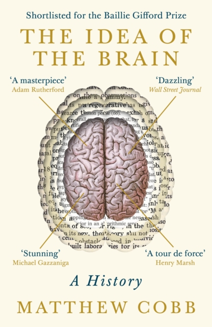 The Idea of the Brain : A History: SHORTLISTED FOR THE BAILLIE GIFFORD PRIZE 2020, Paperback / softback Book