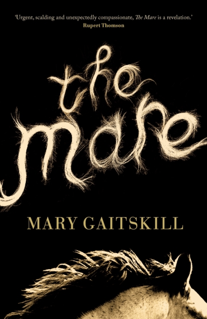 The Mare, Hardback Book