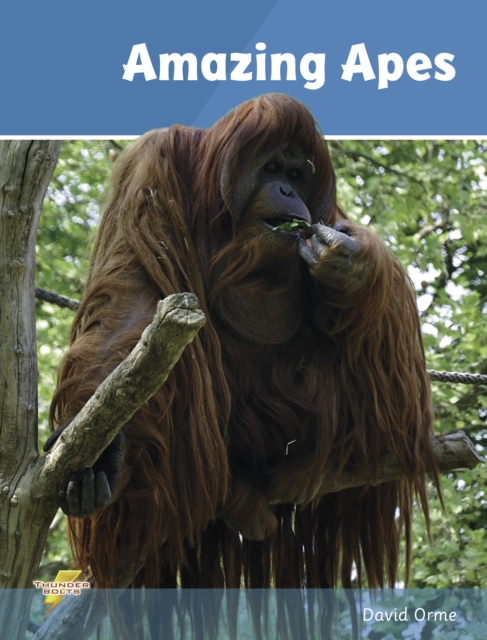 Amazing Apes : Set 2, Paperback / softback Book