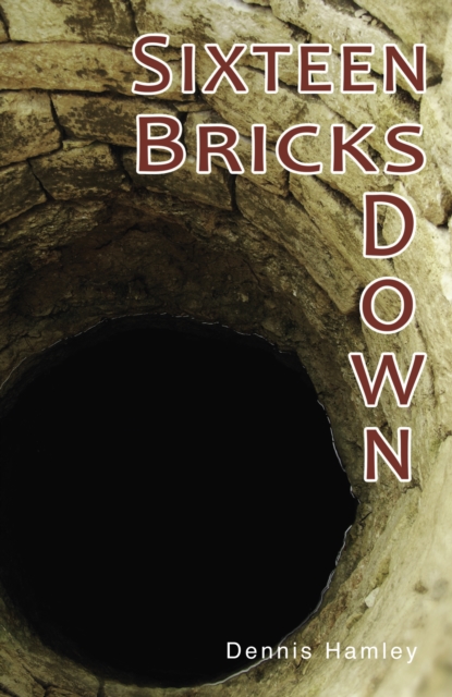 Sixteen Bricks Down, Paperback / softback Book