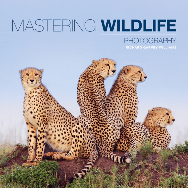 Mastering Wildlife Photography, Paperback / softback Book