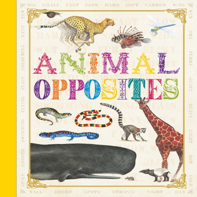 First Concept: Animal Opposites, Hardback Book