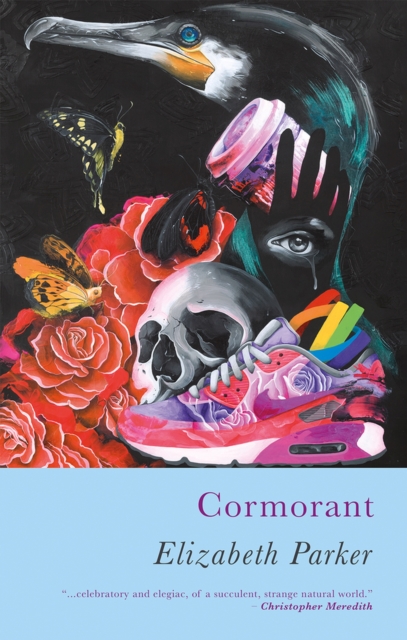 Cormorant, Paperback / softback Book