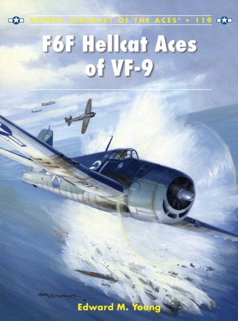 F6F Hellcat Aces of VF-9, PDF eBook