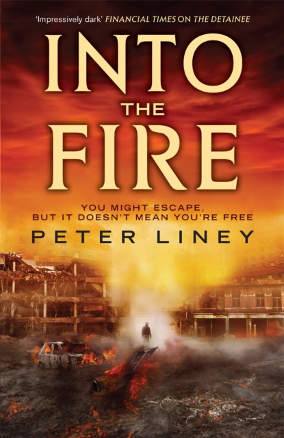 Into The Fire : The Detainee Book 2, Paperback / softback Book