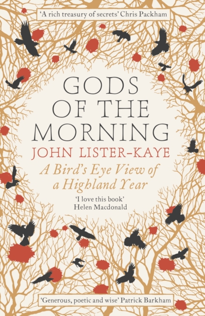 Gods of the Morning : A Bird’s Eye View of a Highland Year, EPUB eBook