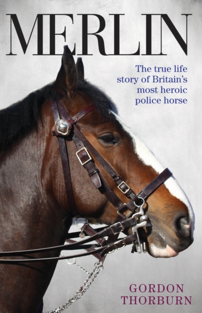 Merlin - The True Story of a Courageous Police Horse, Hardback Book
