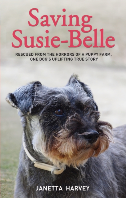 Saving Susie Belle : Rescued from the Horrors of a Puppy Farm, One Dog's Uplifting True Story, Hardback Book
