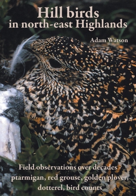 Hill Birds in North-east Highlands, Paperback / softback Book