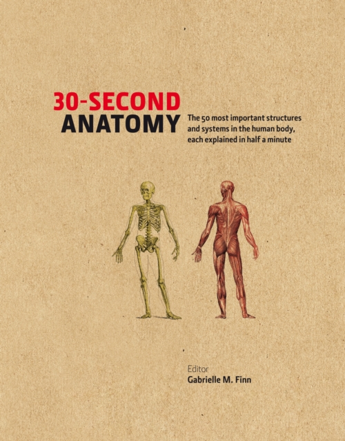 30-second Anatomy : The 50 Most Important Structures and Systems in the Human Body, Each Explained in Half a Minute, Hardback Book