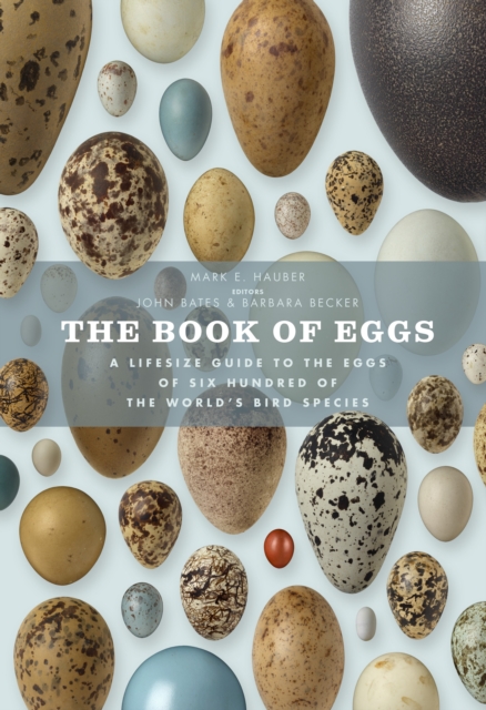 The Book of Eggs : A Lifesize Guide to the Eggs of Six Hundred of the World's Bird Species, Hardback Book