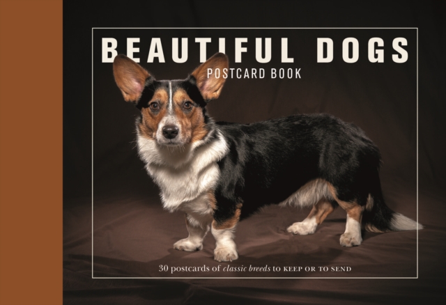 Beautiful Dogs Postcard Book : 30 Postcards of Classic Breeds to Keep or to Send, Paperback / softback Book