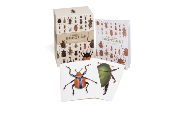 A Box of Beetles : 100 Beautiful Postcards, Postcard book or pack Book