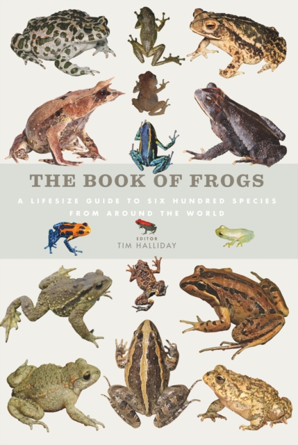 The Book of Frogs : A life-size guide to six hundred species from around the world, Hardback Book