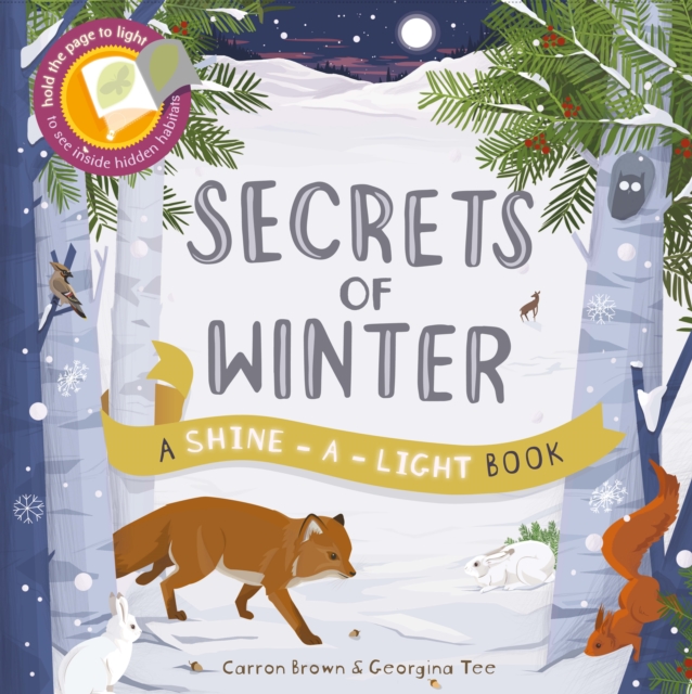 Shine a Light: Secrets of Winter : A shine-a-light book, Paperback / softback Book