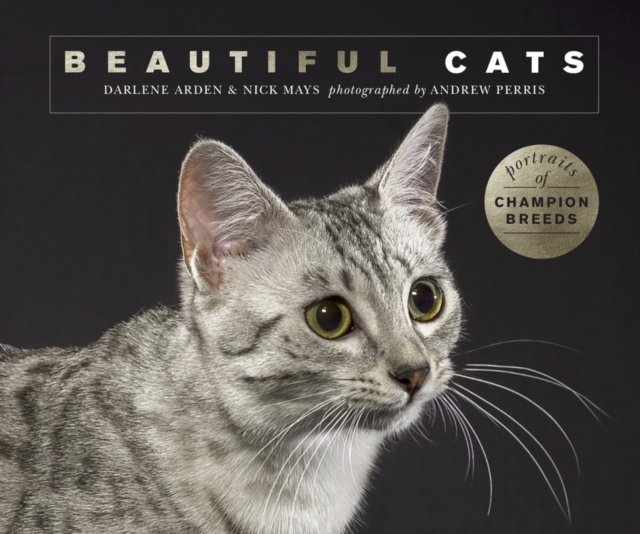Beautiful Cats : Portraits of champion breeds, Paperback / softback Book