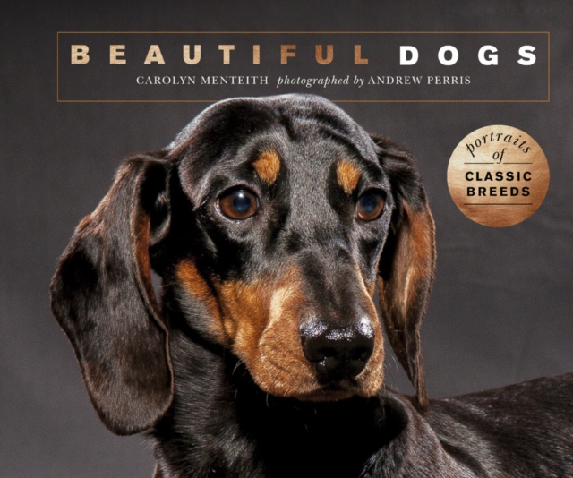 Beautiful Dogs : Portraits of champion breeds, Paperback / softback Book