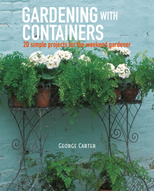 Perfect Pots for Small Spaces : 20 Creative Container Gardening Projects, Paperback / softback Book