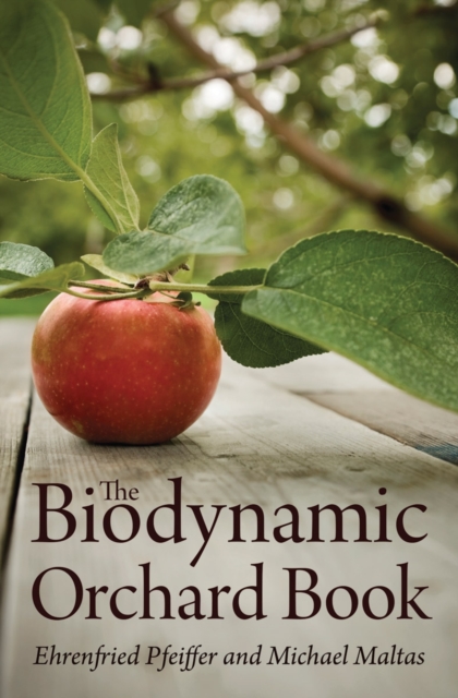 The Biodynamic Orchard Book, Paperback / softback Book