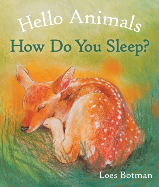 Hello Animals, How Do You Sleep?, Board book Book