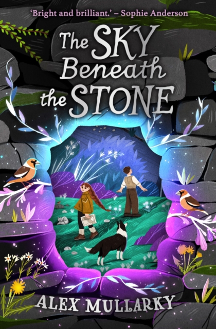 The Sky Beneath the Stone, Paperback / softback Book